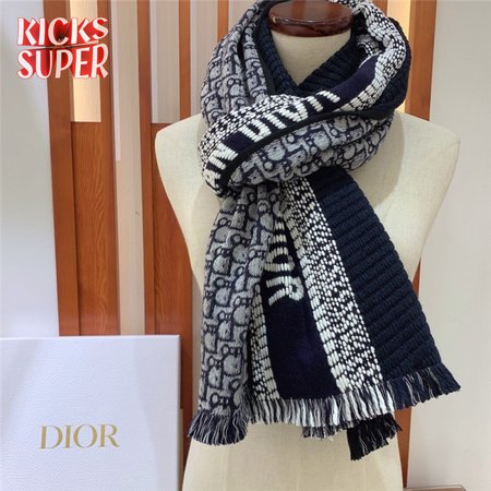 dior oblique printed double-sided scarf